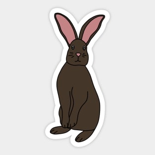 Brown Rabbit Sticker